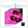 escape-box-menottes-escape-game-enigmes-coquines-adulte-evjf-evjg-cdanslabox-location-boite-toute-prête